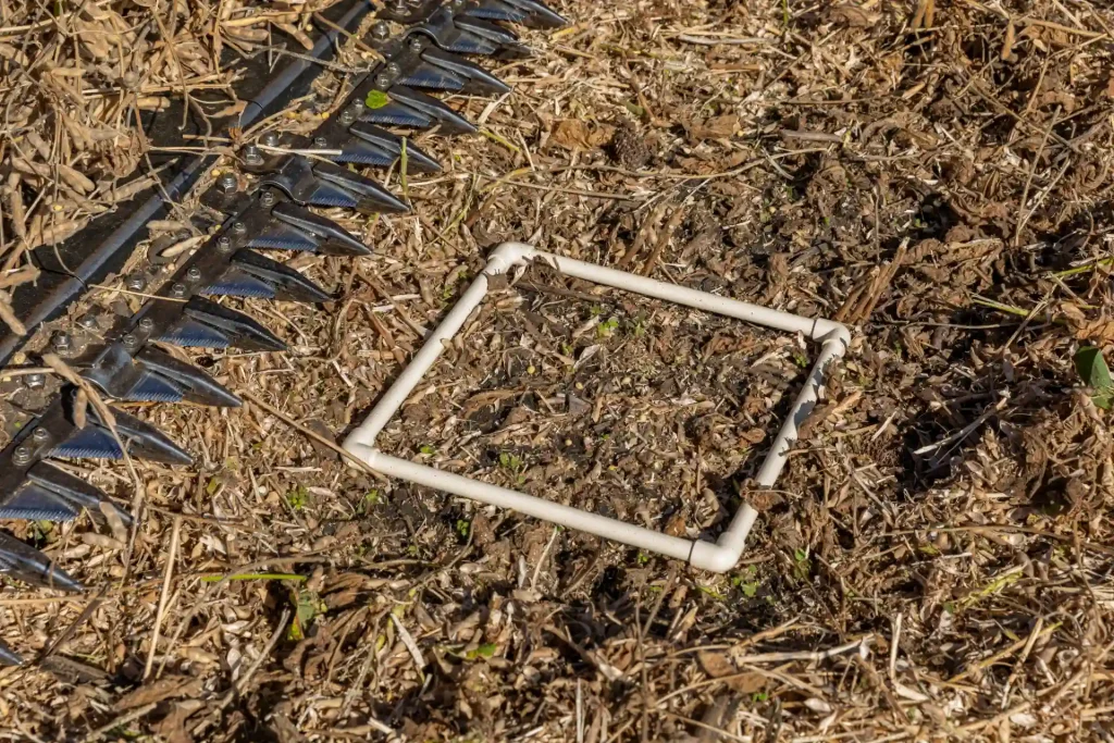 Avaliação de perdas pós-colheita da soja. 