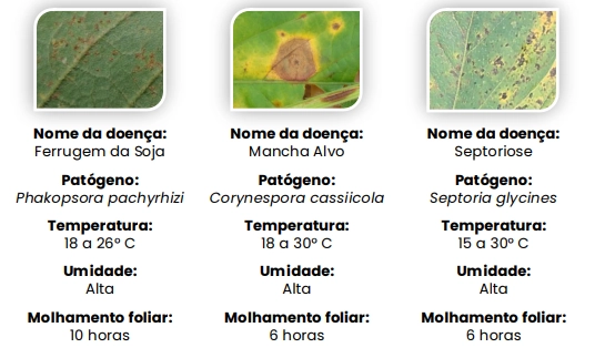 Doenças da soja, ferrugem, mancha-alvo, septoriose