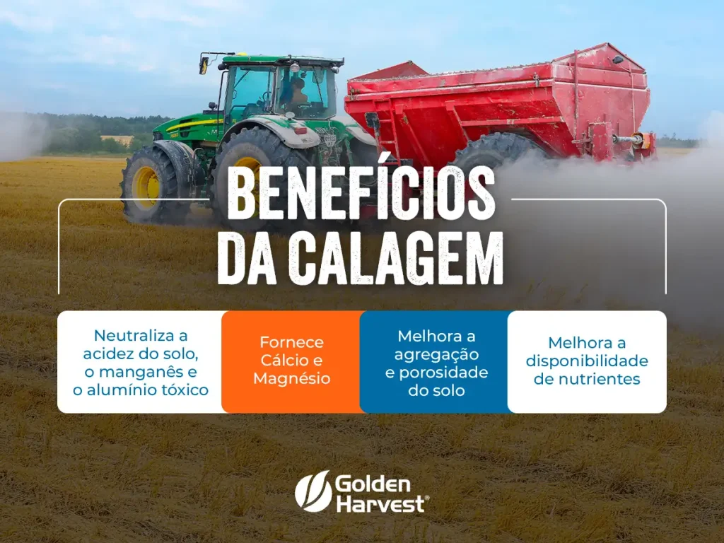 Infográfico destacando os principais benefícios da calagem.