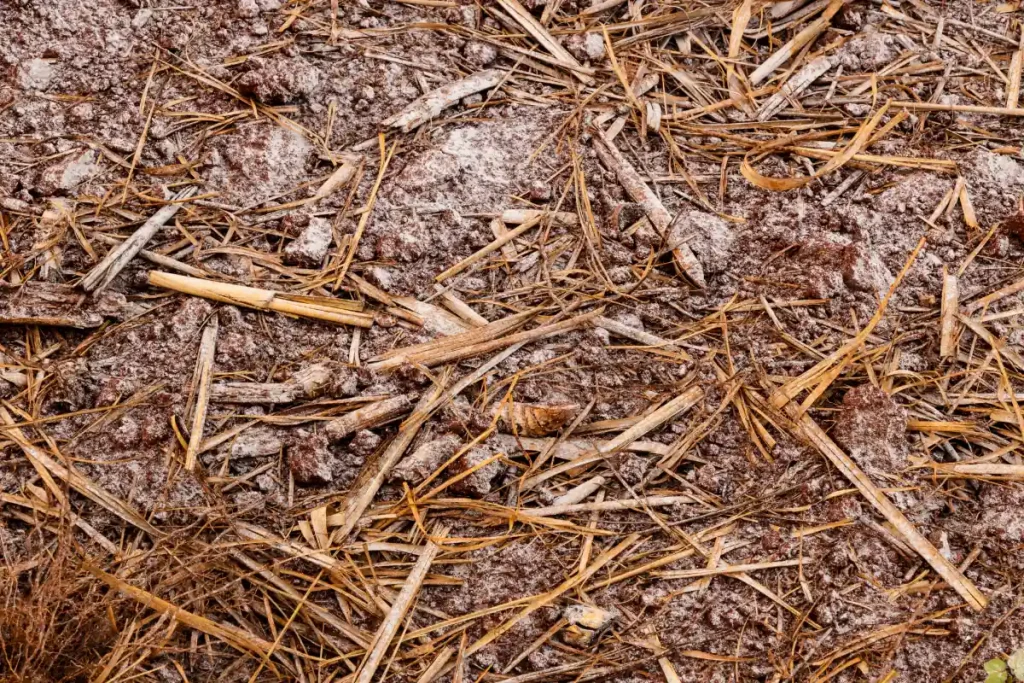 Aplicação de calcário em superfície, em Sistema de Plantio Direto (SPD).