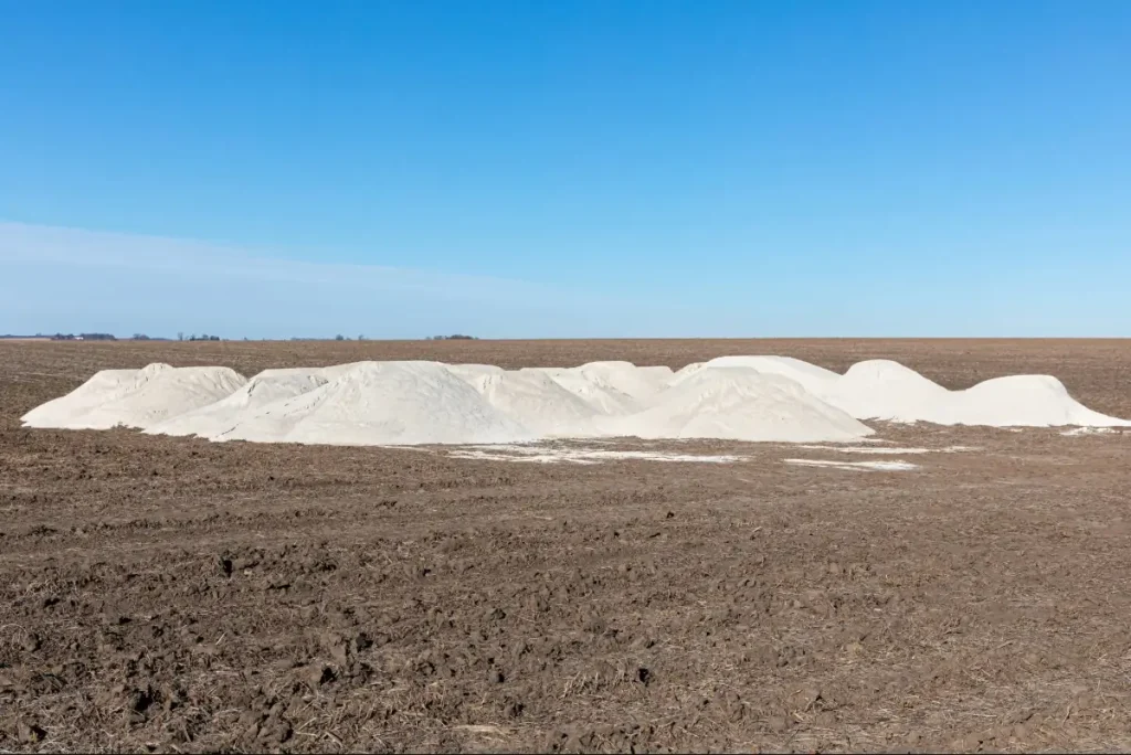 Pilhas de calcário sobre solo, prontas para serem utilizadas na calagem do talhão.