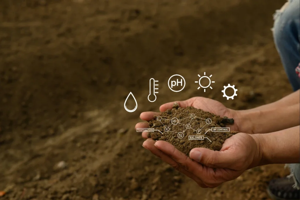  Imagem conceitual sobre a fertilidade do solo, indicando a presença de nutrientes e água, assim como outros fatores que interferem como a temperatura, pH e manejo.