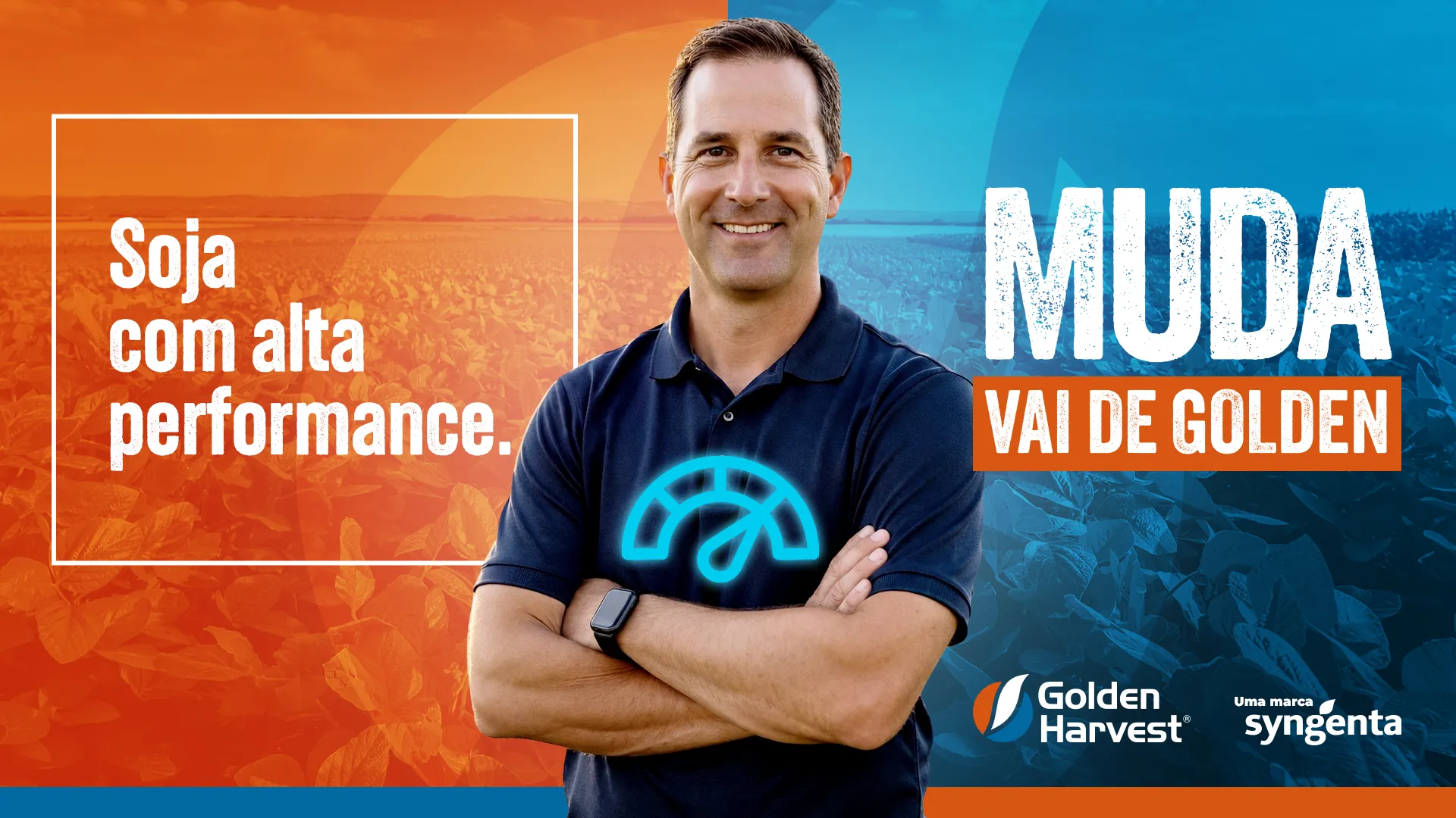Banner Golden Harvest