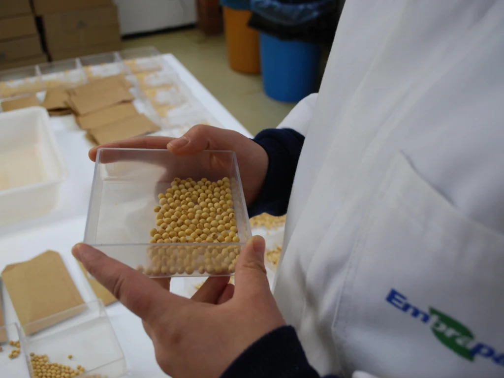 Reanálise de sementes de soja em laboratório.