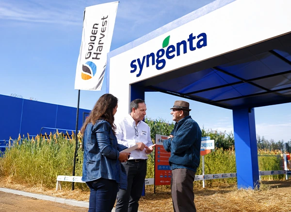 Três pessoas conversam em frente à estrutura de um estande da Syngenta em feira agrícola, com uma bandeira vertical da Golden Harvest ao lado sob céu azul limpo.